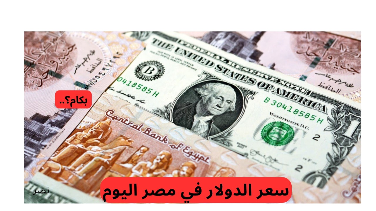 وصل كام؟.. سعر الدولار في مصر اليوم 14 مارس 2025 في البنوك المصرية