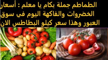 أسعار الخضروات والفاكهة اليوم السبت