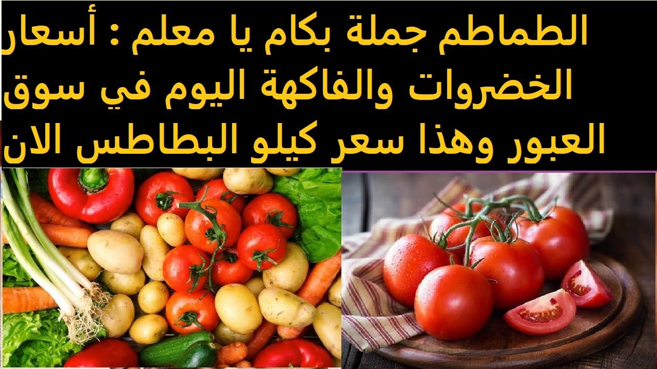 “مش هتصدق الطماطم بكام” … أسعار الخضروات والفاكهة اليوم السبت 1 مارس 2025 في سوق العبور