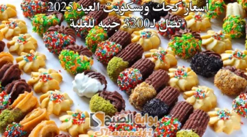 أسعار كحك وبسكويت العيد 2025. تصل لـ3200 جنيه للعلبة
