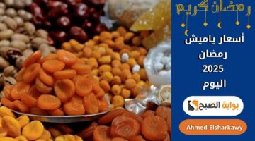 أسعار ياميش رمضان 2025 اليوم