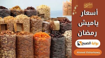 أسعار ياميش رمضان