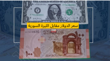 إضافة عنوان 2025 03 06T112727.110