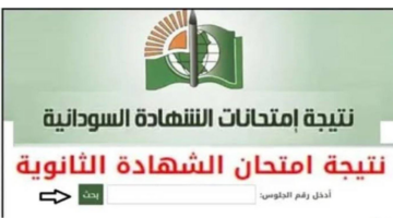 استخراج نتيجة الشهادة السودانية 2025 برقم الجلوس حين صدورها