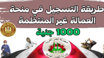 استعلام بالرقم القومي عن منحة العمالة غيرالمنتظمة