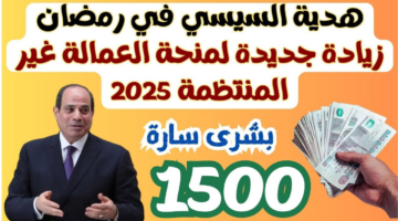 الاستعلام عن منحة العمالة الغير منتظمة بالرقم القومي 2025