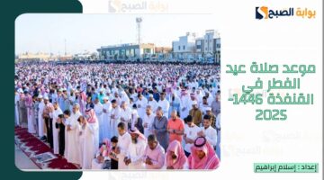 القنفذة