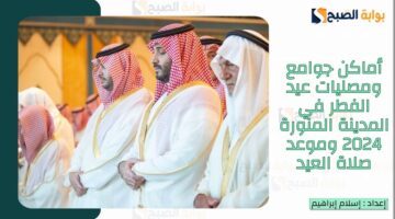 المدينة المنورة