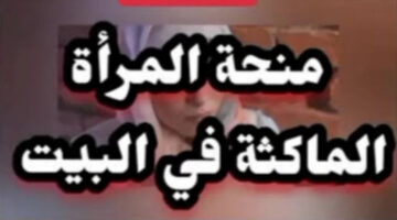 الوكالة الوطنية للتشغيل منحة المرأة الماكثة في البيت