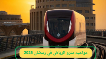 تصميم بدون عنوان 17