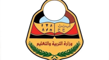 تصميم بدون عنوان 7