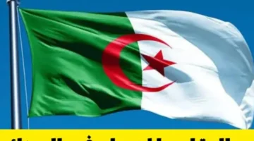 تعديل سن التقاعد في الجزائر