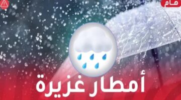 جزائري 1