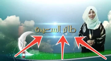 خطوات استقبال قناة السعيدة على جهاز الاستقبال