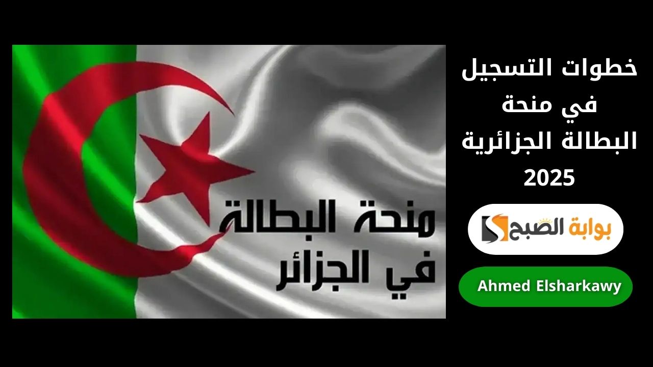 خطوات التسجيل في منحة البطالة الجزائرية 2025 عبر الوكالة الوطنية للتشغيل وشروطها
