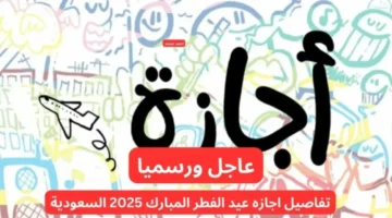 رابط ارقام جببلوس الثانوية العامة اليمين 2025 1 7 768x432 1280x720 1
