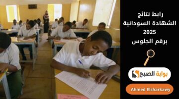 رابط نتائج الشهادة السودانية 2025 برقم الجلوس