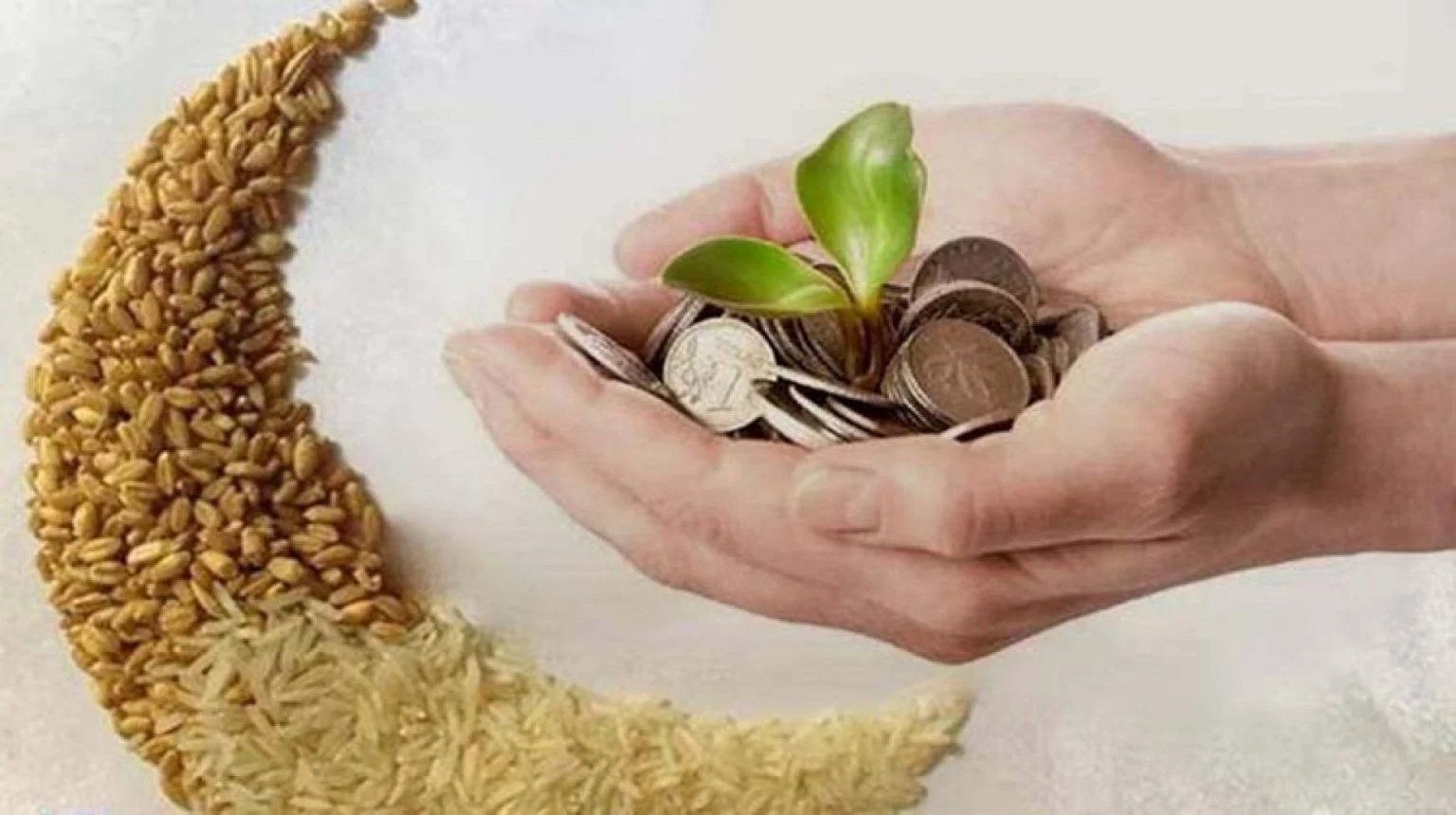 عاجل الشؤون الدينية بالجزائر تعلن قيمة زكاة الفطر لعام 2025 وتحدد آليات جمعها وأفضل أوقاتها 2 عاجل الشؤون الدينية بالجزائر تعلن قيمة زكاة الفطر لعام 2025 وتحدد آليات جمعها وأفضل أوقاتها