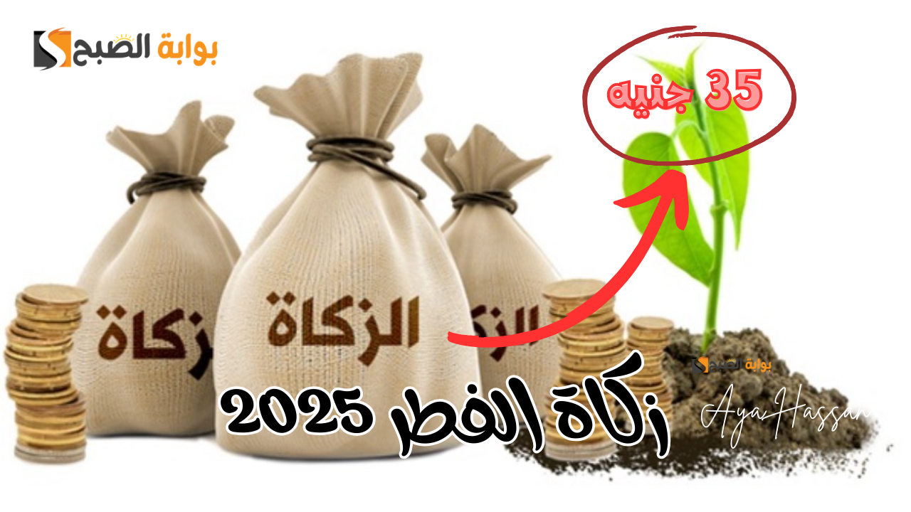 «كم تبلغ للفرد؟!!».. الإفتاء تحدد مقدار زكاة الفطر 2025 وأفضل وقت لإخراجها والفئات الأكثر استحقاقاً لها