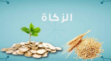 زكاة الفطر