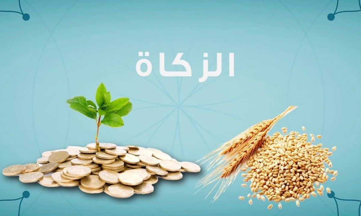 مقدار زكاة الفطر 2025 في مصر والسعودية وعدد من الدول العربية الإسلامية وموعد إخراجها 2 مقدار زكاة الفطر 2025 في مصر والسعودية وعدد من الدول العربية الإسلامية وموعد إخراجها