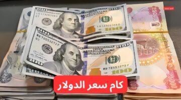 سعر الدولار مقابل الدينار العراقي اليوم الثلاثاء 4 3 2025