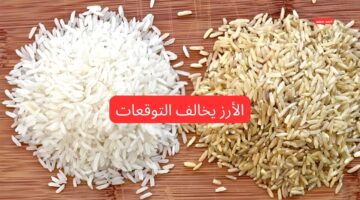سعر طن الأرز الشعير اليوم الاثنين 3 3 2025 والأبيض