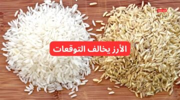 سعر طن الأرز الشعير اليوم السبت 1 3 2025