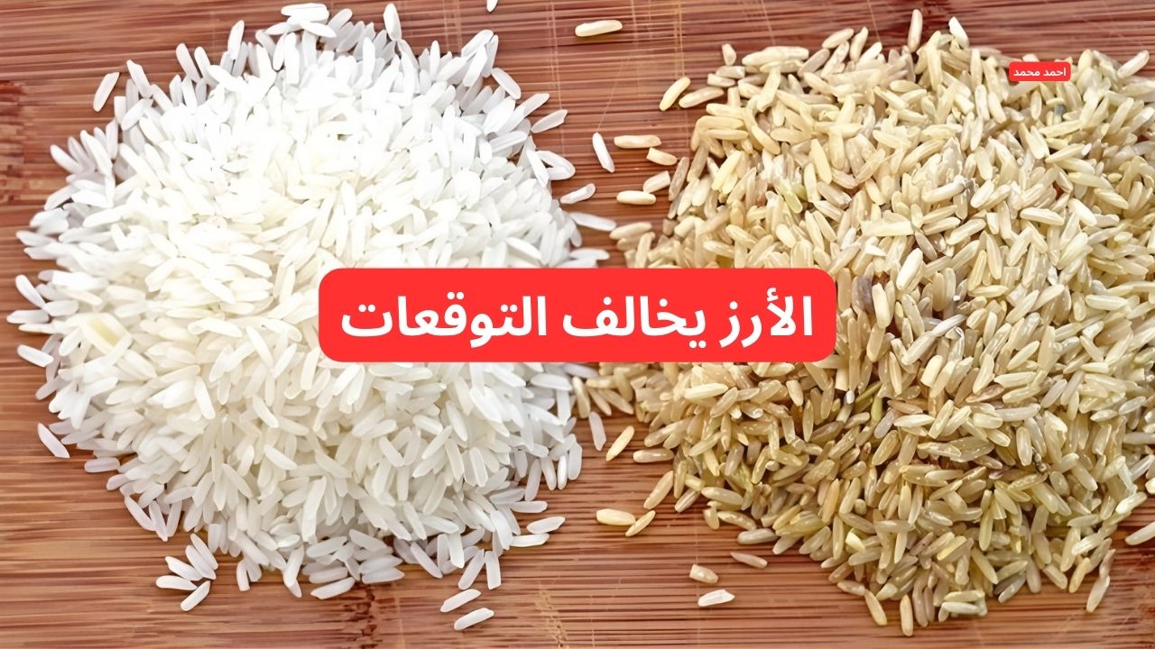 "أسعار الأرز تفاجئ الكل".. سعر طن الأرز الشعير اليوم السبت 1-3- 2025 والأبيض! 2 “أسعار الأرز تفاجئ الكل”.. سعر طن الأرز الشعير اليوم السبت 1-3- 2025 والأبيض!