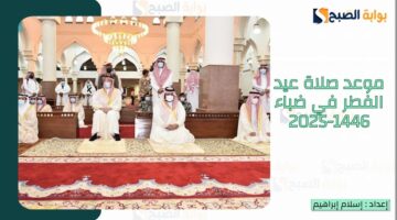 ضباء