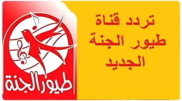 طريقة تثبيت تردد قناة طيور الجنة 2025 بكل سهولة على الرسيفر