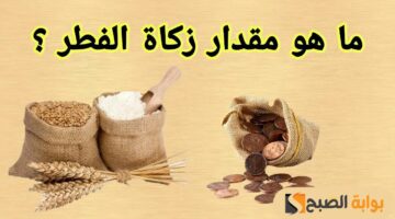 قيمة زكاة الفطر 2025 في مصر 1