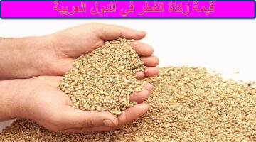 قيمة زكاة الفطرـ في الدول العربية