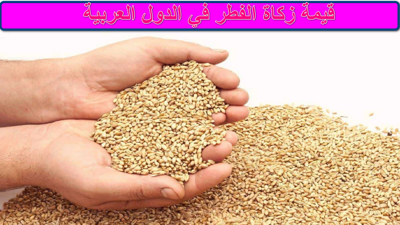 كم تدفع وفقًا لبلدك؟ قيمة زكاة الفطر 1446هـ في الدول العربية وموعدها والفئات المستحقة... القائمة الكاملة للقيمة بالعملات المحلية 2 كم تدفع وفقًا لبلدك؟ قيمة زكاة الفطر 1446هـ في الدول العربية وموعدها والفئات المستحقة… القائمة الكاملة للقيمة بالعملات المحلية