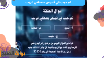 كم جيب في قميص مصطفي غريب