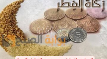 كم مقدار زكاة الفطر وهل يجوز دفع زكاة الفطر الكترونيا؟