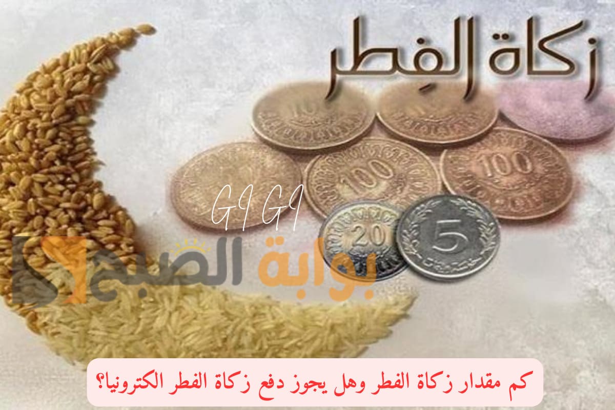 كم مقدار زكاة الفطر وهل يجوز دفع زكاة الفطر الكترونيا؟ دليل شامل