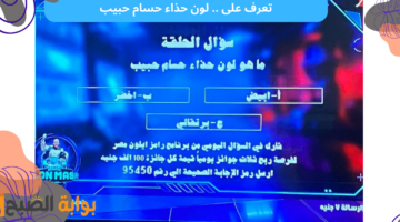 لون حذاء حسام حبيب