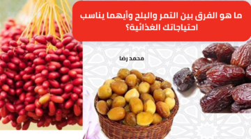 ما هو الفرق بين التمر والبلح وأيهما يناسب احتياجاتك الغذائية؟ 1