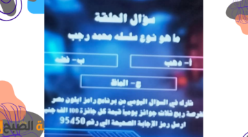 ماهو نوع سلسله محمد رجب