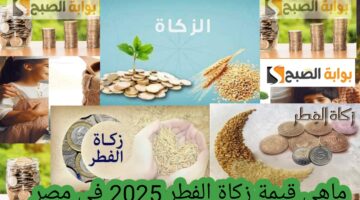 ماهي قيمة زكاة الفطر 2025 في مصر