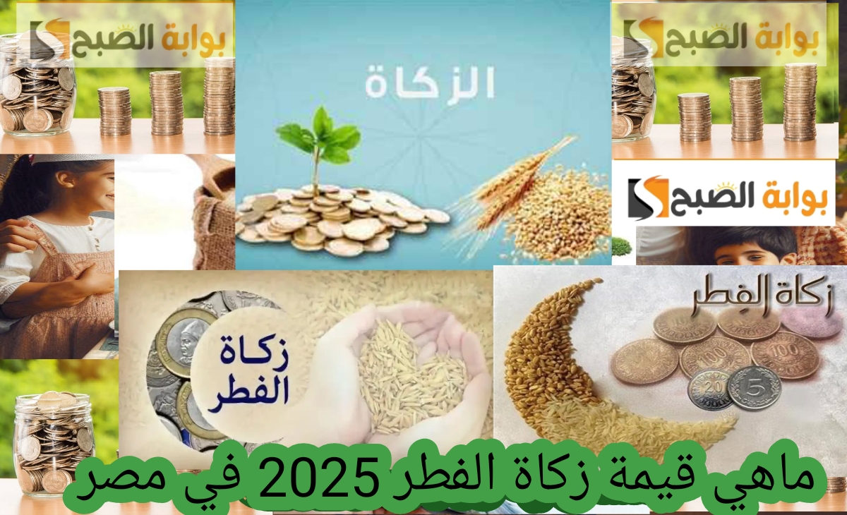 ماهي قيمة زكاة الفطر 2025 في مصر ومن هم المستحقين وكيفية حسابها في 3 ثواني 2 ماهي قيمة زكاة الفطر 2025 في مصر ومن هم المستحقين وكيفية حسابها في 3 ثواني