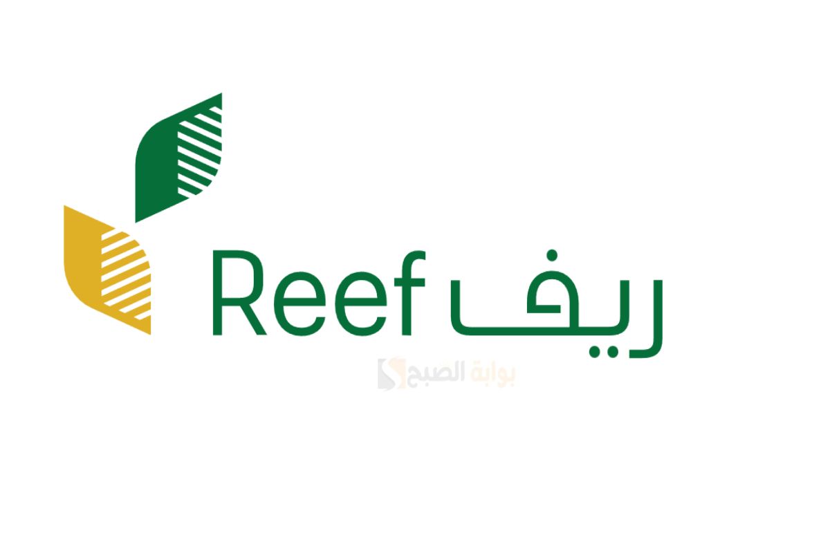 متى يتم صرف دعم ريف وكيف أعرف أني مقبول 2025 2 متى يتم صرف دعم ريف وكيف أعرف أني مقبول 2025