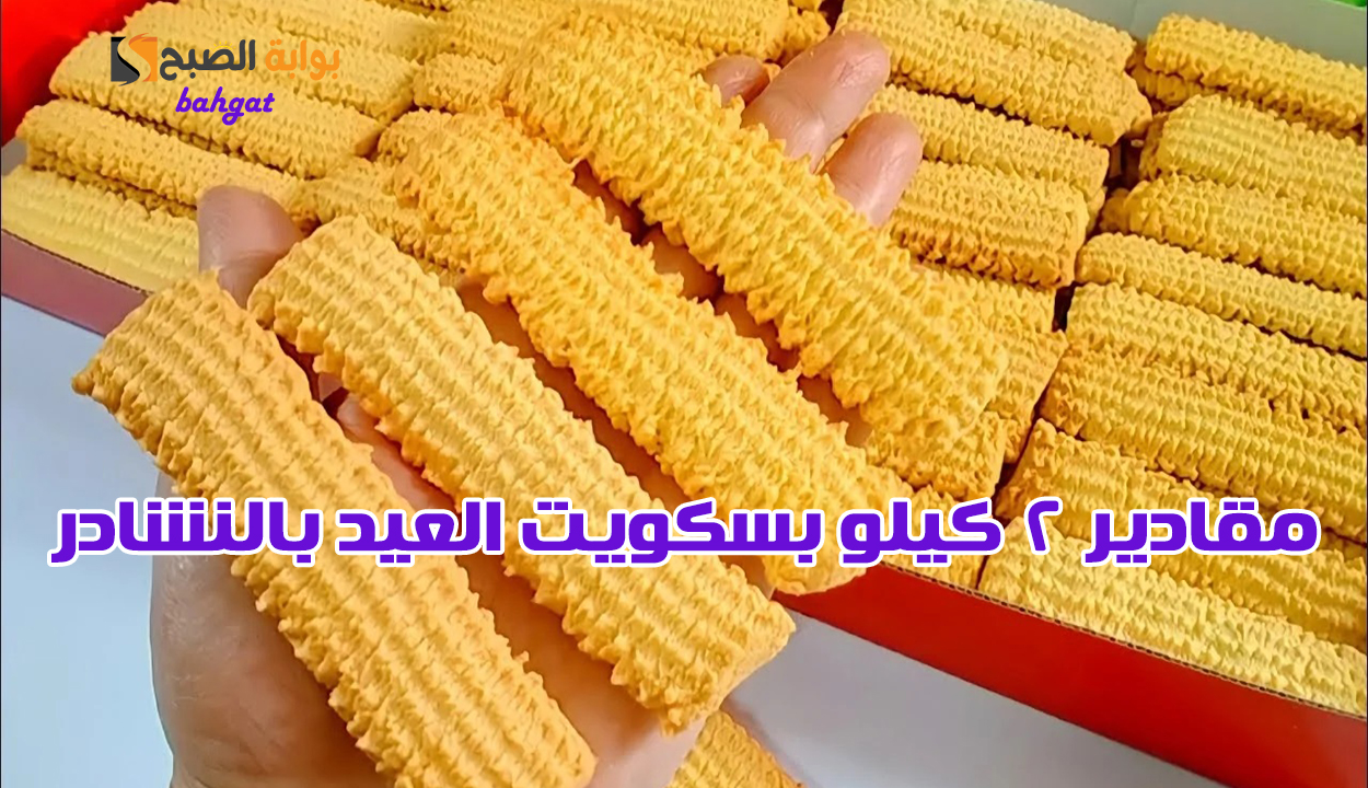 مقادير 2 كيلو بسكويت العيد بالنشادر بطعم رائع وعمل كمية كبيرة