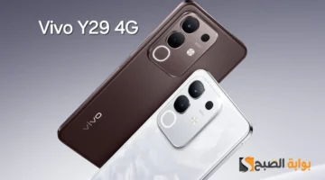 مواصفات Vivo Y29