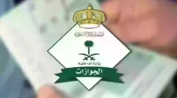 04 08 24 254419148