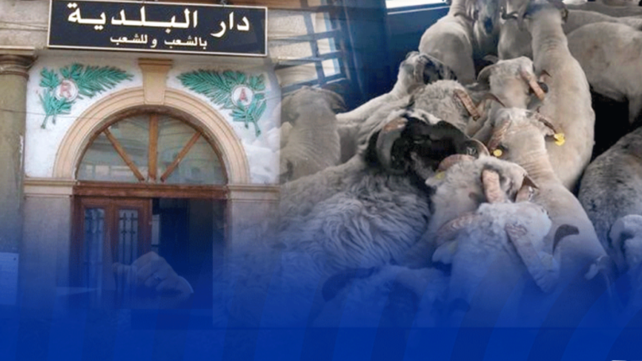 تحديد اوليات اقتناء الاضاحي المستوردة فقط لتلك الفئات في الجزائر ! 2 تحديد اوليات اقتناء الاضاحي المستوردة فقط لتلك الفئات في الجزائر !