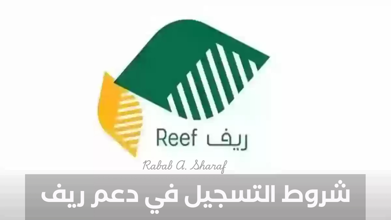 كل أسرار دعم ريف 2025.. اعرف شروط التسجيل في دعم ريف وأخطر أسباب وقف الدعم.. لا تضيع الفرصة 2 كل أسرار دعم ريف 2025.. اعرف شروط التسجيل في دعم ريف وأخطر أسباب وقف الدعم.. لا تضيع الفرصة