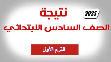 نتائج السادس الابتدائي 2025