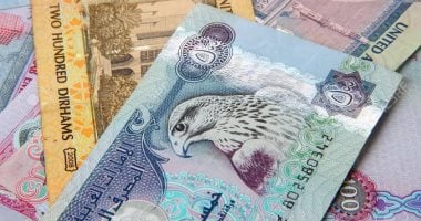 ارتفاع سعر الدرهم الإماراتى اليوم الجمعة 4-7-2025 في البنك المركزى ليصل إلى 13.56 جنيه للشراء